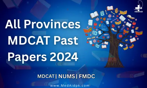 All Provinces MDCAT Past Papers 2024